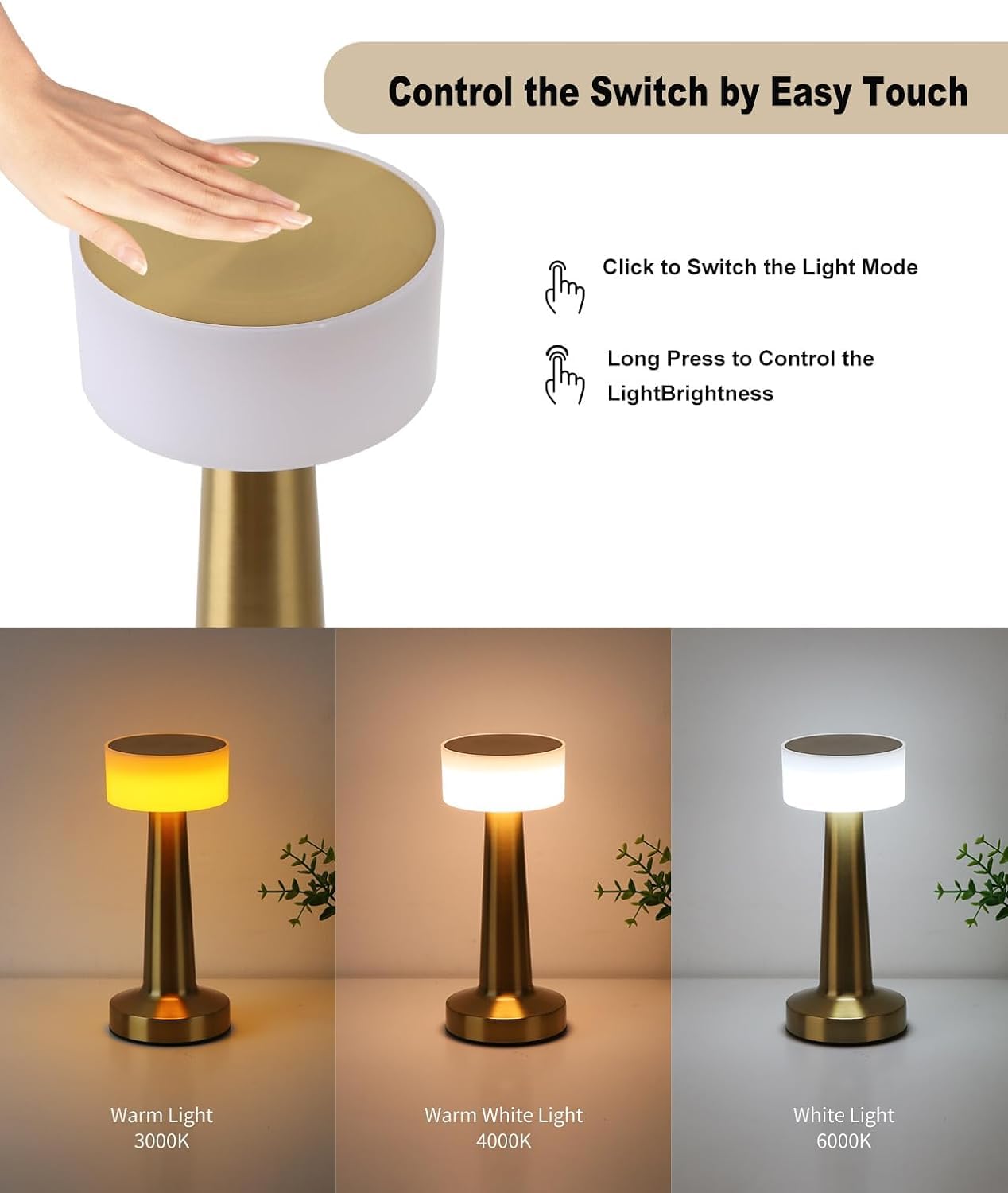 RareCo™ Cordless LED Touch Lamp