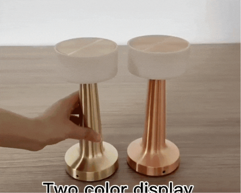RareCo™ Cordless LED Touch Lamp